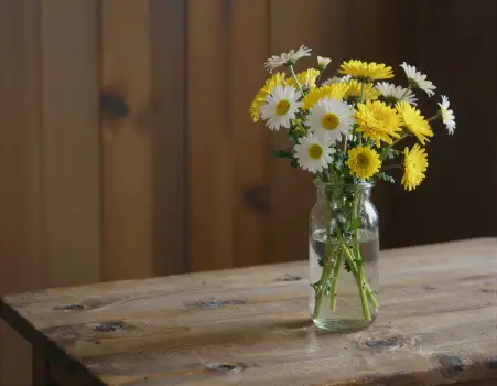 Cheerful Yellow and White Daisies on Wooden Table