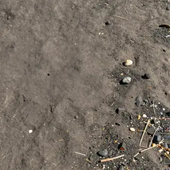 Messy Ground with Debris and Trash Pile cleaning