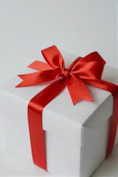 Elegant Red Ribbon on White Gift Box elegant bow