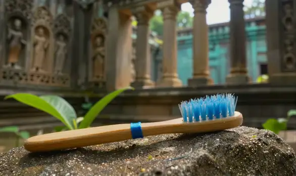Wooden Toothbrush on Rock Outdoors blue bristles