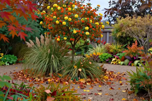 Autumn Garden with Bright Flowers plants trees