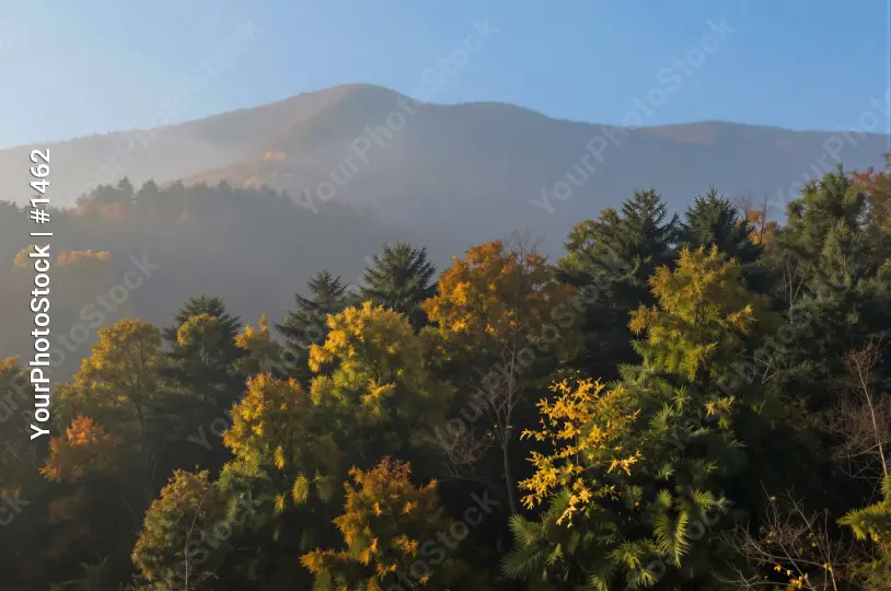 Autumn Mountain Range with Clear Sky and Fog fall