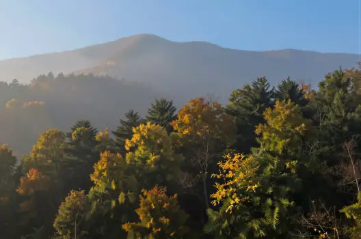 Autumn Mountain Range with Clear Sky and Fog fall