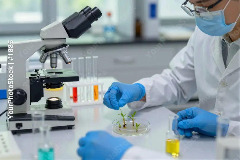 Scientist Examining Plant Under Microscope lab