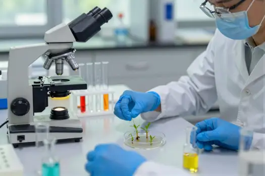 Scientist Examining Plant Under Microscope lab