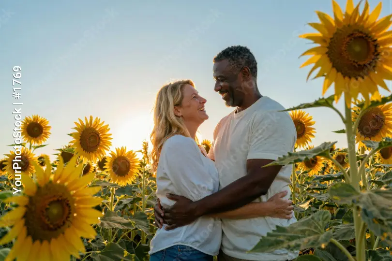 couple in field of sunflowers romantic sunset