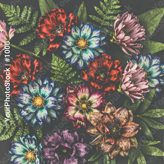 Colorful Flowers and Ferns Close-Up vibrant scattered