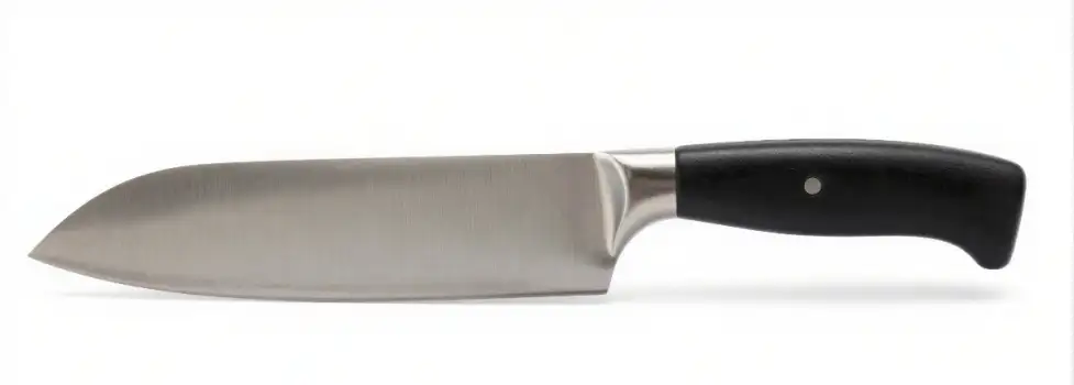 Sleek Black Kitchen Knife with Stainless Steel Blade