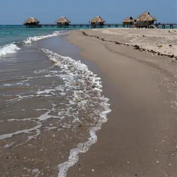 Serene Beach Scene with Wooden Piers and Thatched Huts