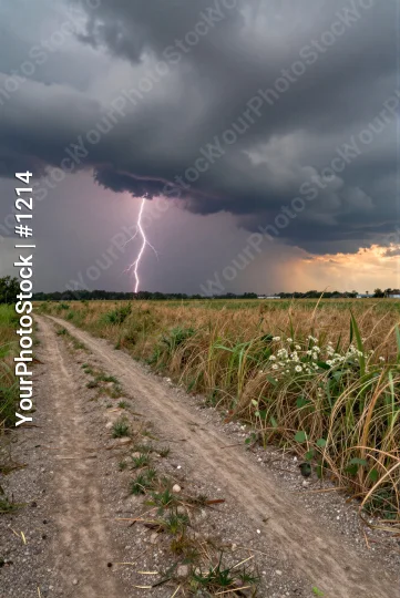 Dramatic Lightning Strike on Dirt Road at Sunset