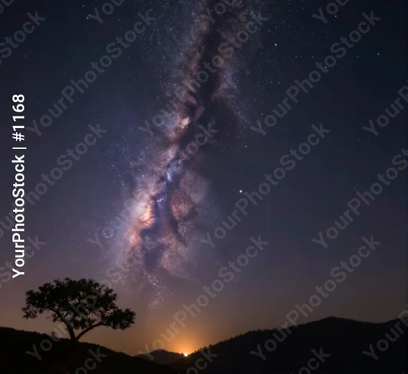 Milky Way Over Tree Silhouette at Night galaxy