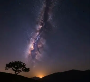 Milky Way Over Tree Silhouette at Night galaxy