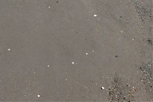 Wet Concrete Surface with Scattered Objects rough