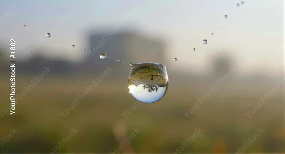 Serene Drop of Water on Grass water drop close-up