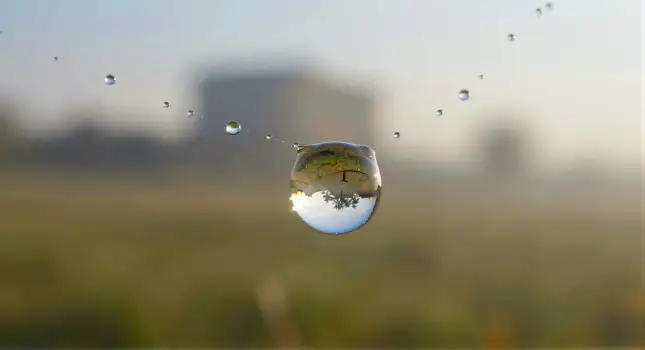 Serene Drop of Water on Grass water drop close-up