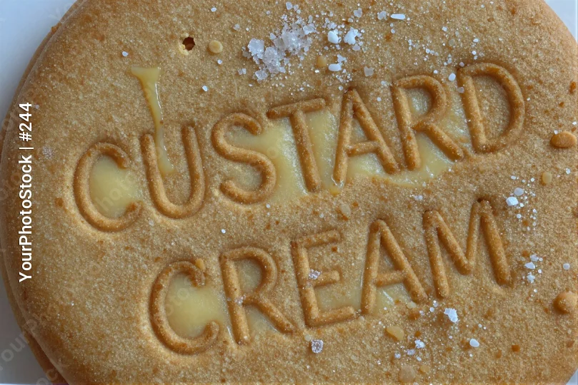 Custard Cream Biscuit Close-Up freshly baked golden-brown