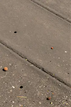 Weathered Concrete Pavement with Cracks and Holes