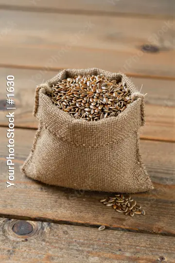 Rustic Sunflower Seeds in Burlap Sack on Wooden Table