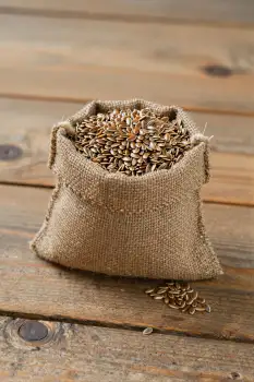 Rustic Sunflower Seeds in Burlap Sack on Wooden Table