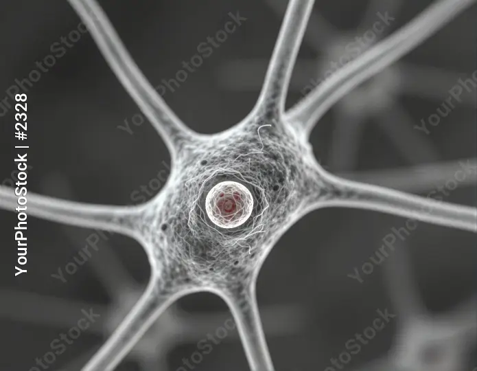 Microscopic View of Neuron with Radial Network