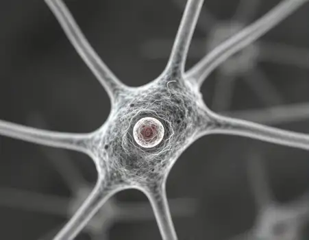 Microscopic View of Neuron with Radial Network