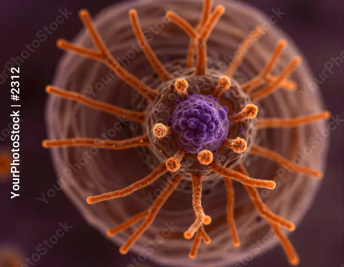 Microscopic View of Spherical Virus with Purple Center and Orange