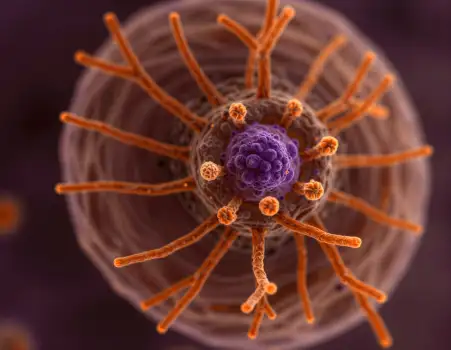 Microscopic View of Spherical Virus with Purple Center and Orange