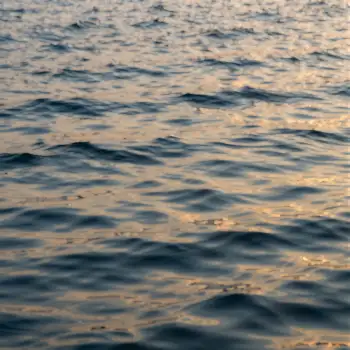 Calm Blue Water Surface at Sunset ripples serene