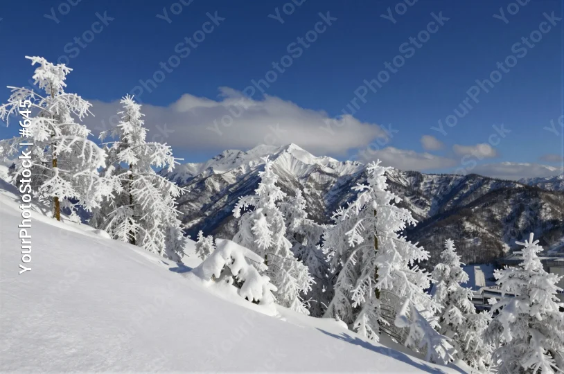 Snowy Mountain Range Landscape winter wonderland