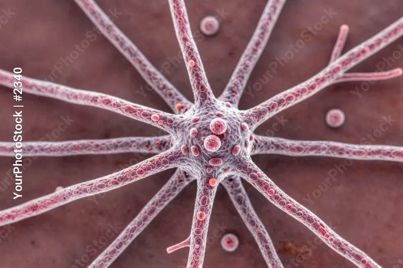 Microscopic View of Pink Neurons in Radial Pattern