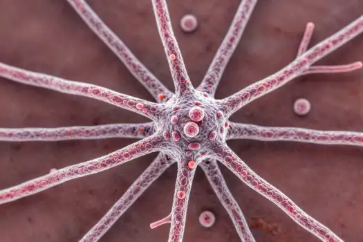 Microscopic View of Pink Neurons in Radial Pattern
