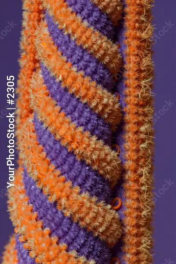 Vibrant Purple and Orange Striped Fabric Close-Up