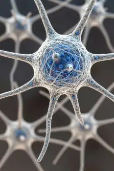 Neurons in Radial Pattern with Blue Sphere lattice structure