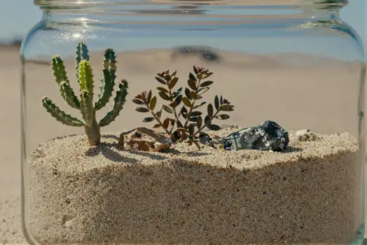 Cactus in Glass Jar on Sandy Beach plants decor