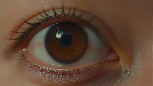 Close-up of a Person's Eye with Tear iris pupil