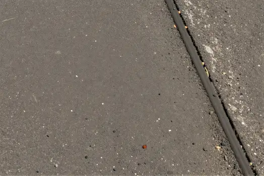 Wet Asphalt Road with Markers pebbles parallel