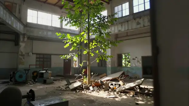 Abandoned Building with Tall Tree disrepair broken windows