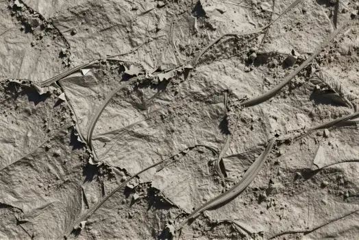 Rough Rocky Surface with Plants in Black and White Plaster