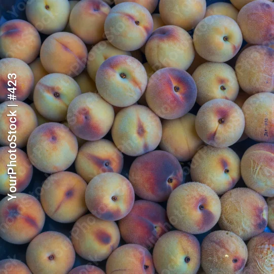 Ripe Peaches Close-Up fruit market stall arrangement