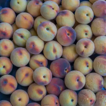 Ripe Peaches Close-Up fruit market stall arrangement