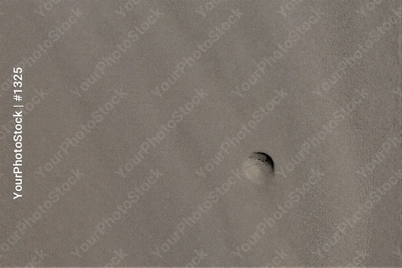 Black and white circular object floating on textured surface