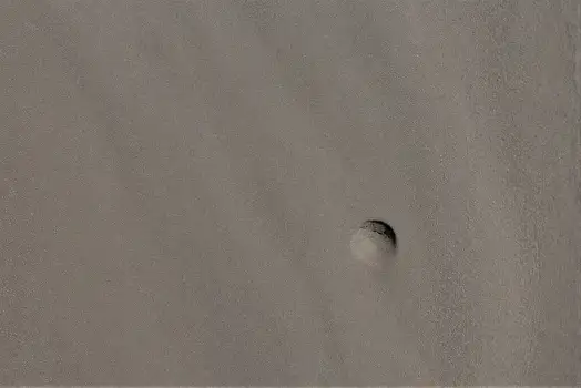 Black and white circular object floating on textured surface