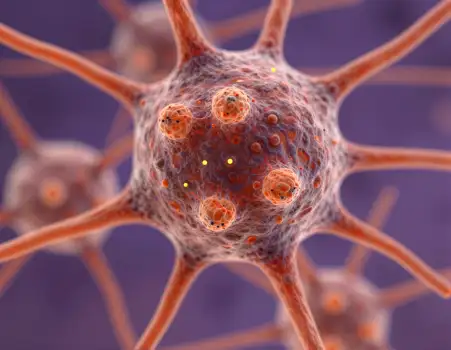 Neurons in Circular Pattern, Orange Center, Yellow Dots