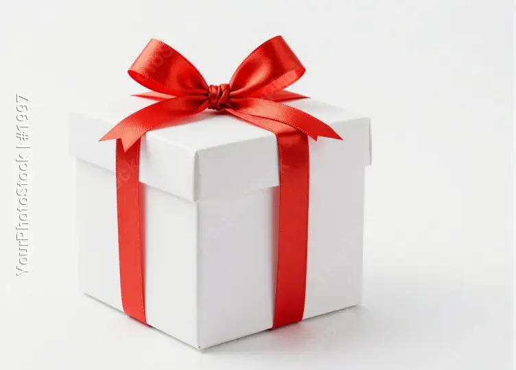Elegant Red Bow Gift Box white