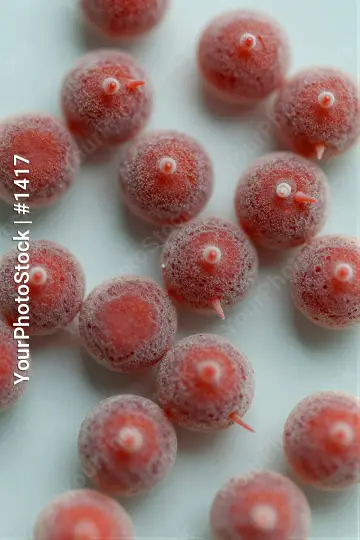3D Medical Macro Close-Up of Glistening Tissue