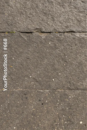 Cracked Concrete Surface with Green Plant speckles