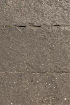 Cracked Concrete Surface with Green Plant speckles