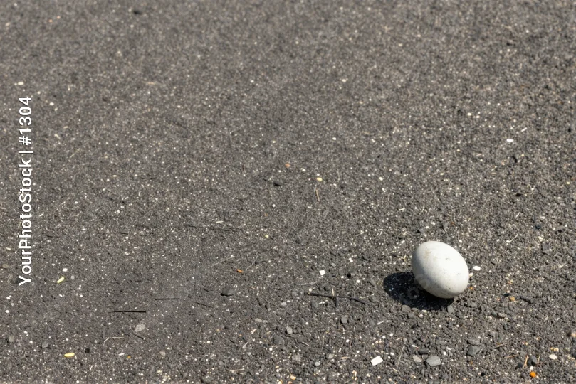 Single White Ball on Asphalt outdoor peaceful