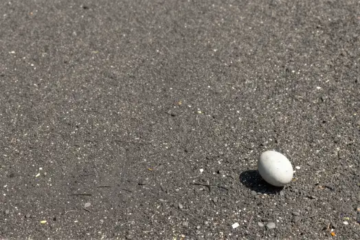 Single White Ball on Asphalt outdoor peaceful