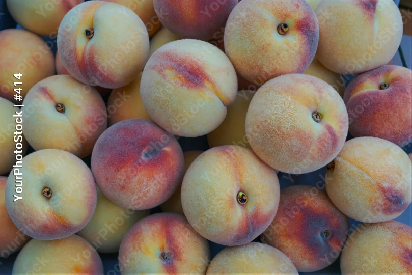 Ripe Peaches in Circular Arrangement fruit market stall